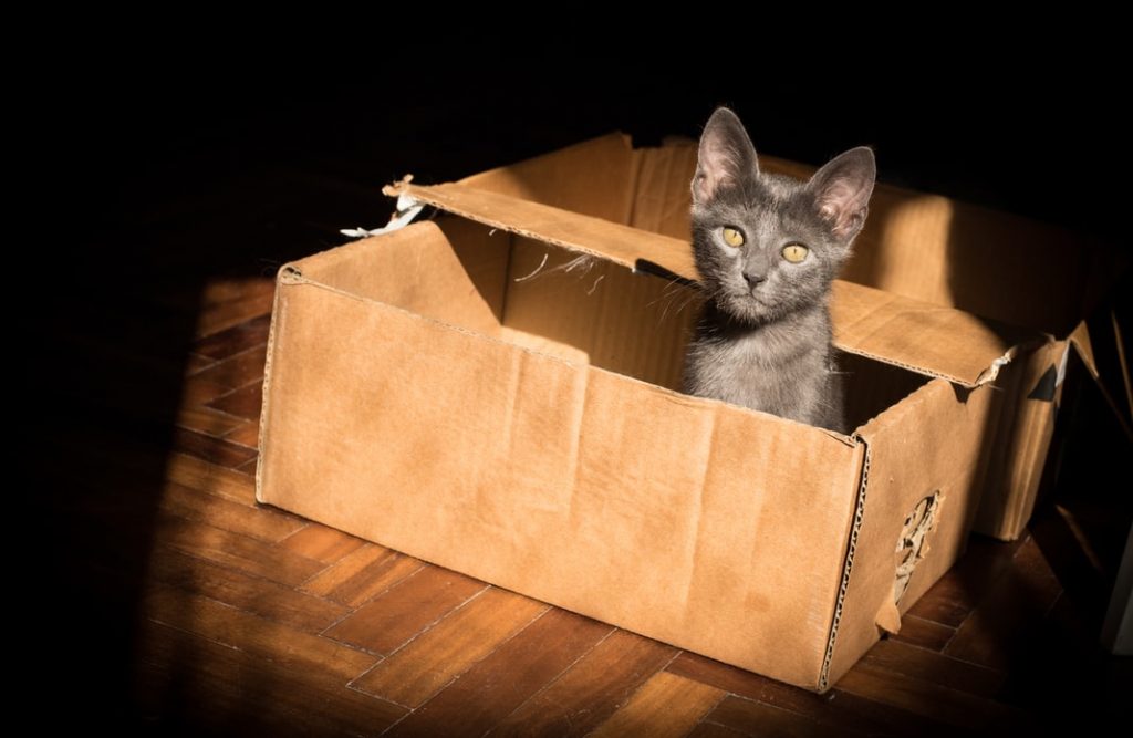 Don t Think Outside The Box Bored Consultants